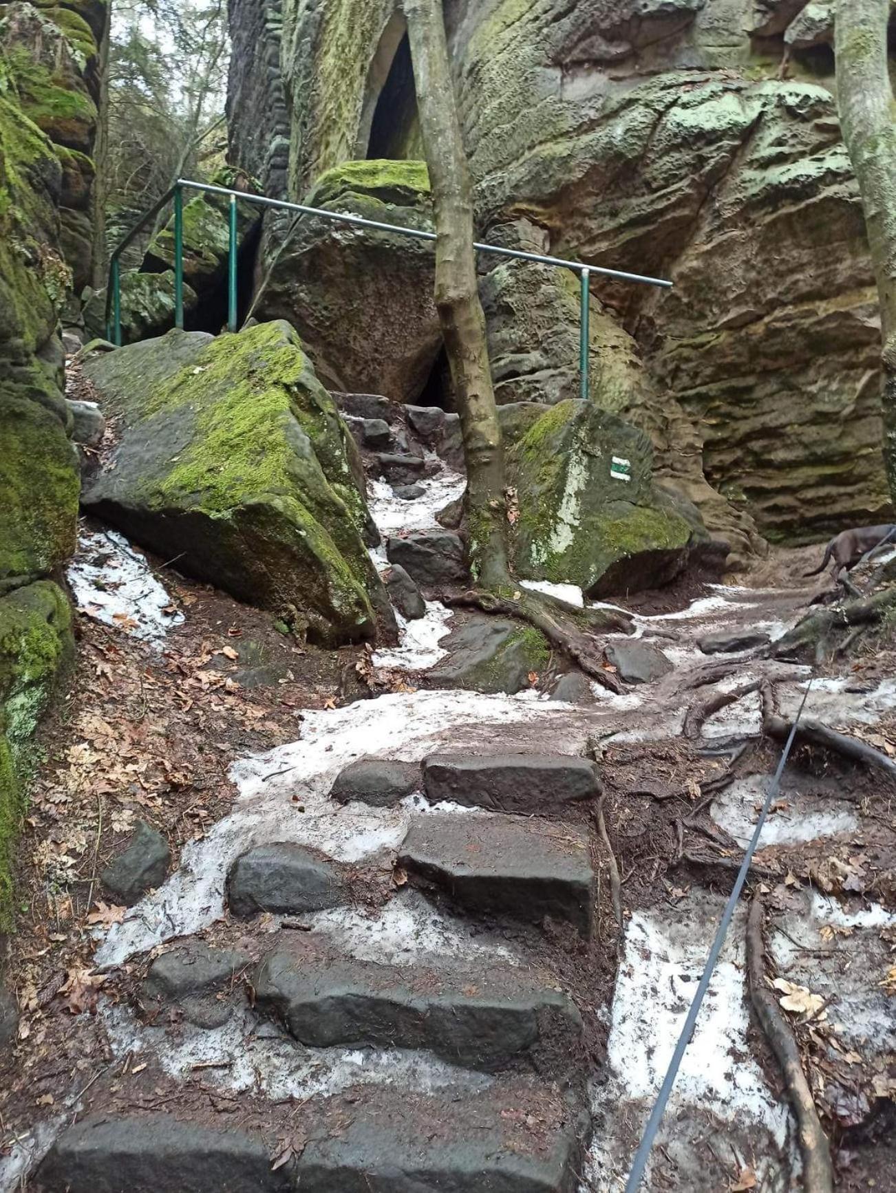 V Ceskem Raji U Prachovskych Skal - Mala Pro 4 - Velka Pro Az 7 Osob - V Soukromi Lodge *