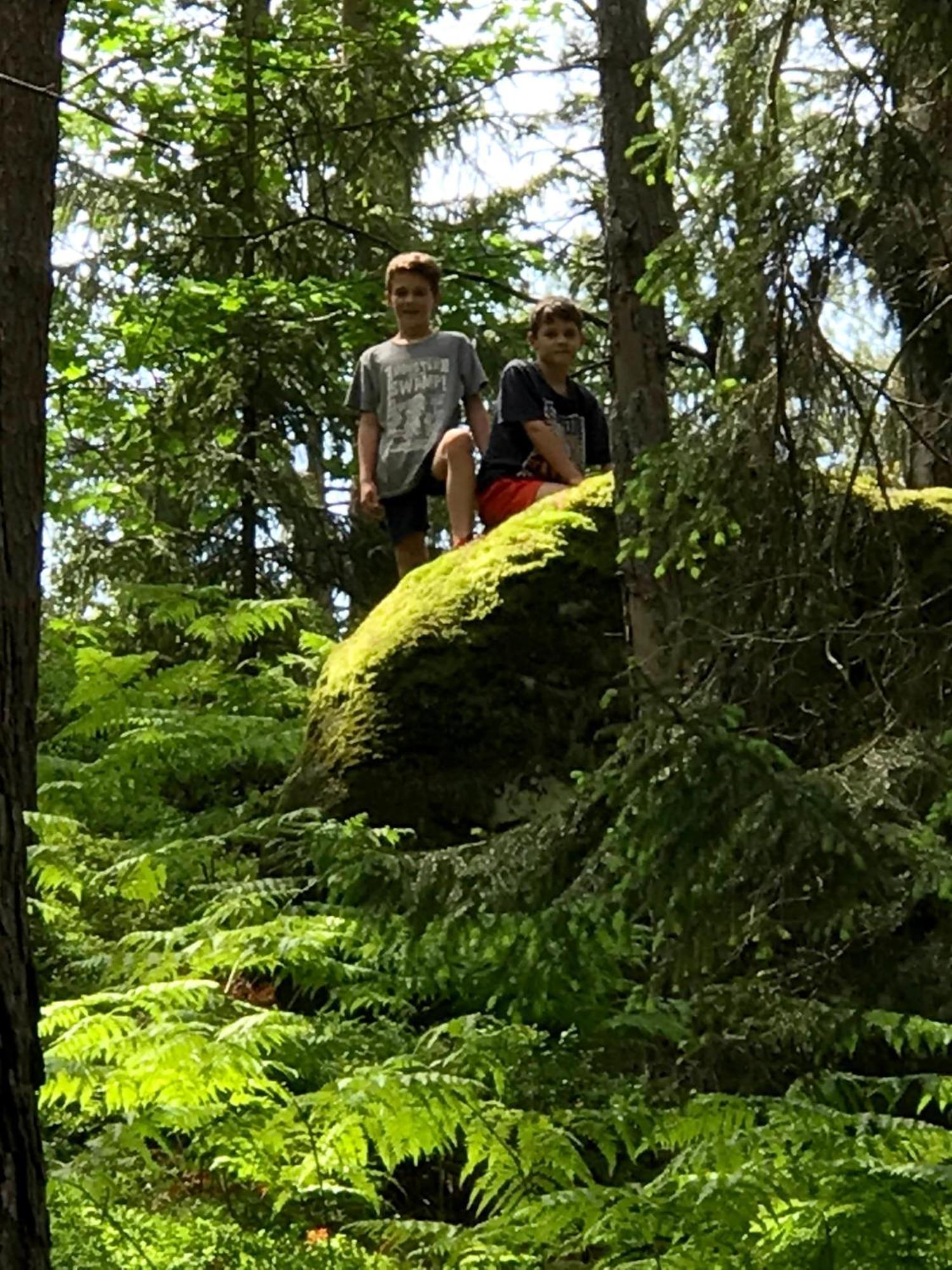 V Ceskem Raji U Prachovskych Skal - Mala Pro 4 - Velka Pro Az 7 Osob - V Soukromi Lodge *